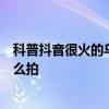 科普抖音很火的烏龜六張圖怎么玩及抖音變老的特效視頻怎么拍