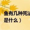 魚有幾種死法（魚裝死的原因與治療方法分別是什么）