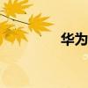 華為mate8（華為Mate）