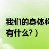 我們的身體構造有什么不同（我們的身體構造有什么?）