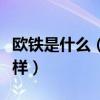 歐鐵是什么（歐鐵官網價格和中國官網價格一樣）