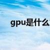 gpu是什么意思網絡用語（gpu是什么）