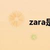 zara是什么牌子（有西服嗎）