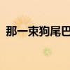那一束狗尾巴草小說txt（那一束狗尾巴草）