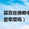 蒜苔在佛教中是葷嗎（佛學講蒜是葷菜那蒜苔是葷菜嗎）