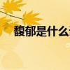 馥郁是什么詞性（“馥郁”是什么意思）