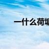 一什么荷塘填空（一什么荷塘填量詞）