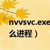 nvvsvc.exe是什么進程（nvsvc32 exe是什么進程）