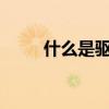 什么是驅動力量（什么是驅動器?）