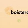 boisterous的意思（boisterous）