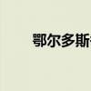 鄂爾多斯香料（鄂爾多斯香煙價格）