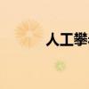 人工攀巖定制廠家（人工攀巖）