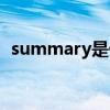 summary是什么（summary是什么意思）