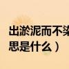 出淤泥而不染的意思是啥（出淤泥而不染的意思是什么）