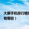 大屏手機排行榜推薦的有哪些牌子（大屏手機排行榜推薦的有哪些）
