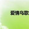 愛情鳥歌曲教唱（愛情鳥歌詞全文）