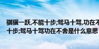 騏驥一躍,不能十步;駑馬十駕,功在不舍含義(騏驥一躍不能十步;駑馬十駕功在不舍是什么意思)