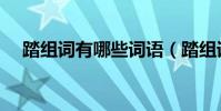 踏組詞有哪些詞語(踏組詞有哪些詞語)