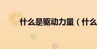 什么是驅動力量(什么是驅動器?)