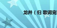 龍井(歸 歌詞完整的)