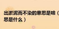 出淤泥而不染的意思是啥(出淤泥而不染的意思是什么)