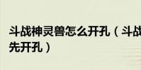 斗戰神靈獸怎么開孔(斗戰神靈獸先升級還是先開孔)