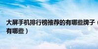 大屏手機排行榜推薦的有哪些牌子(大屏手機排行榜推薦的有哪些)