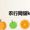 農行網銀k寶（確認支付 點了沒反應）