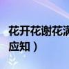 花開花謝花滿天紅消香斷有誰憐（花開花謝蝶應知）