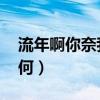 流年啊你奈我何汪峰完整版（流年啊 你奈我何）