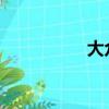 大眾探歌價格（DZ宏）