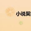 小說契約男傭（契約男傭生活）