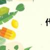 代練傳說（代練貓）