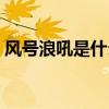 風號浪吼是什么意思啊（風號浪吼什么意思）