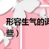 形容生氣的詞語有哪些（形容生氣的詞語有哪些）