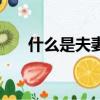 什么是夫妻共同財產（什么是豹子號）