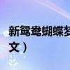 新鴛鴦蝴蝶夢歌詞解析（新鴛鴦蝴蝶夢歌詞全文）