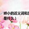 嬌小的近義詞和反義詞分別是什么（嬌小的近義詞和反義詞是什么）