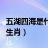 五湖四海是什么結構的詞語（五湖四海是什么生肖）