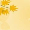 丁香花（歌詞）