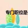 專門職位是什么（專門職位是什么意思）