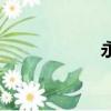 永遠是朋友（歌詞）