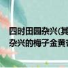 四時田園雜興(其二十五)梅子金黃杏子肥的意思（四時田園雜興的梅子金黃杏子肥的下一句是什么）
