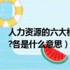 人力資源的六大模塊是什么（人力資源管理六大模塊是什么?各是什么意思）