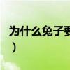 為什么兔子要吃鹽呢（為什么兔子要吃胡蘿卜）
