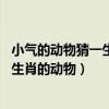 小氣的動物猜一生肖（比喻非常小氣,一毛不拔的是什么十二生肖的動物）
