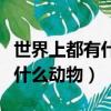 世界上都有什么動物園（世界上的動物園里有什么動物）