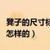 凳子的尺寸標準是什么（各種凳子尺寸標準是怎樣的）