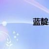 藍靛果樹苗價格（藍靛果）