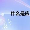 什么是應用系統（什么是應用文啊）
